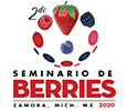 Canvas Logo